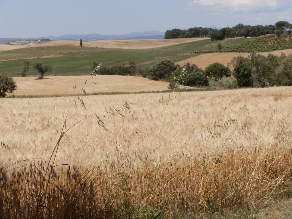 Agriturismo Poggio Sassineri Villa Magliano in Toscana Exteriör bild